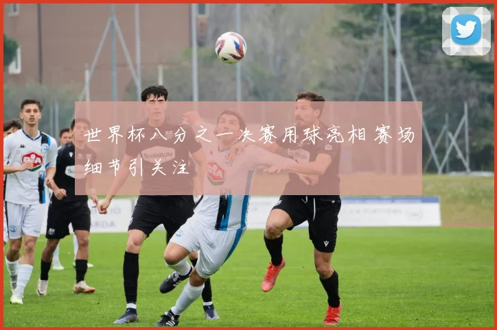 世界杯八分之一决赛用球亮相 赛场细节引关注