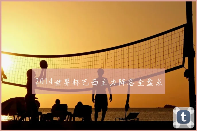2014世界杯巴西主力阵容全盘点