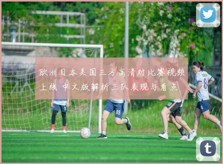 欧洲日本美国三方高清对比赛视频上线 中文版解析三队表现与看点