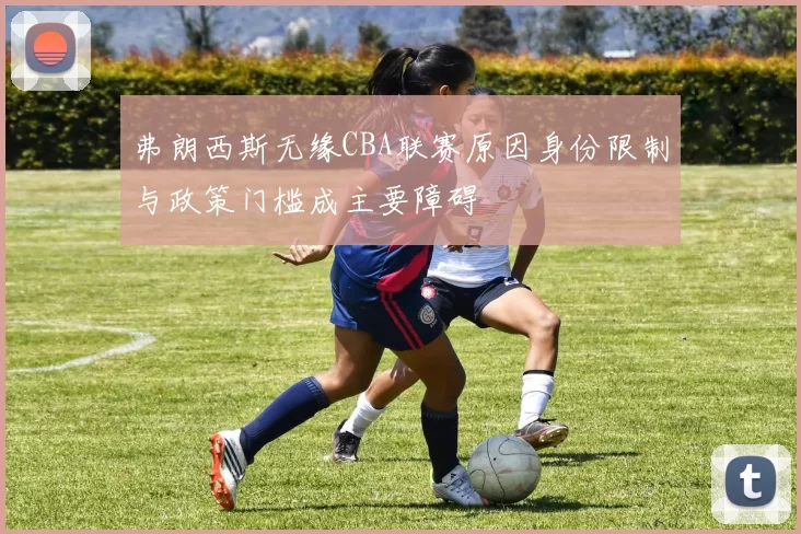 弗朗西斯无缘CBA联赛原因身份限制与政策门槛成主要障碍